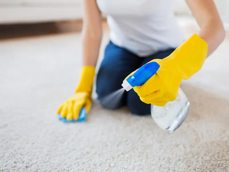 How Can You Extend The Life Of Carpets In Your Places