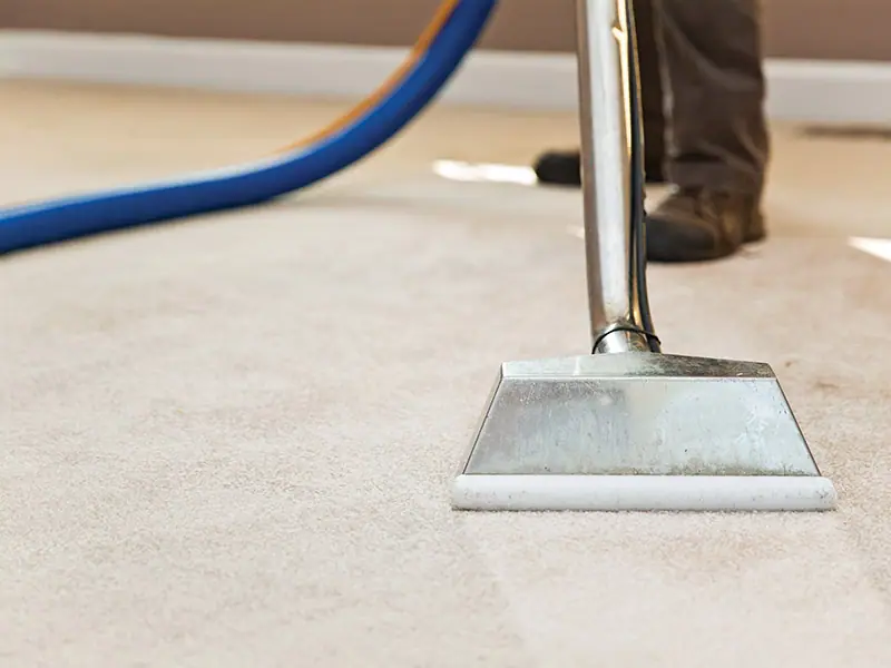 How Can You Extend The Life Of Carpets In Your Places